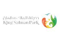 King Salman Park
